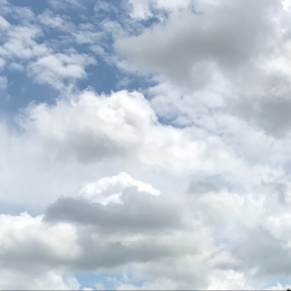 Meet your Posher, Jay